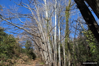 Grotta Comune monte Ilice